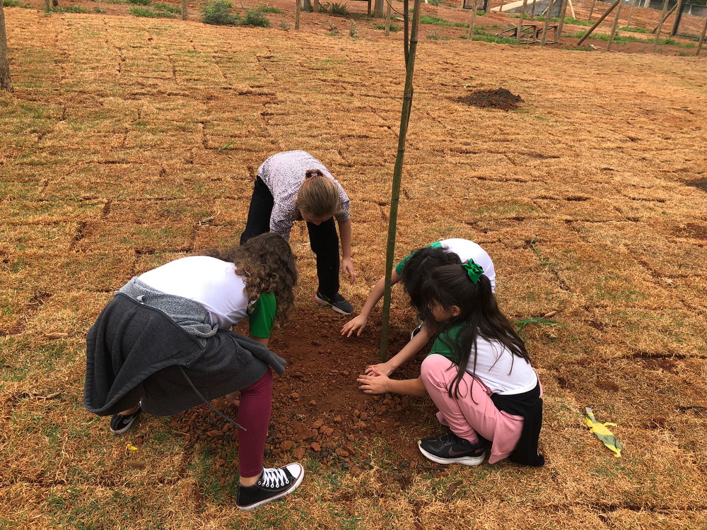 DAE realiza plantio com escola em comemoração ao Dia da Árvore