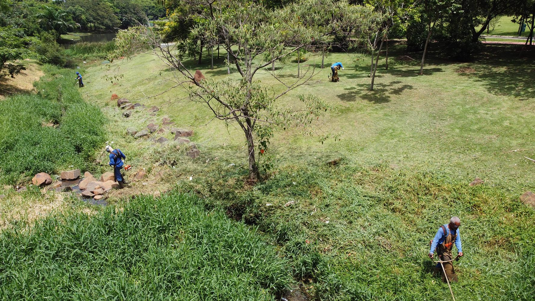 DAE realiza manutenção em área do Parque dos Jacarandás