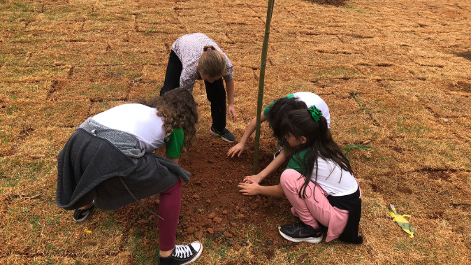Foto: DAE realiza plantio com escola em comemoração ao Dia da Árvore